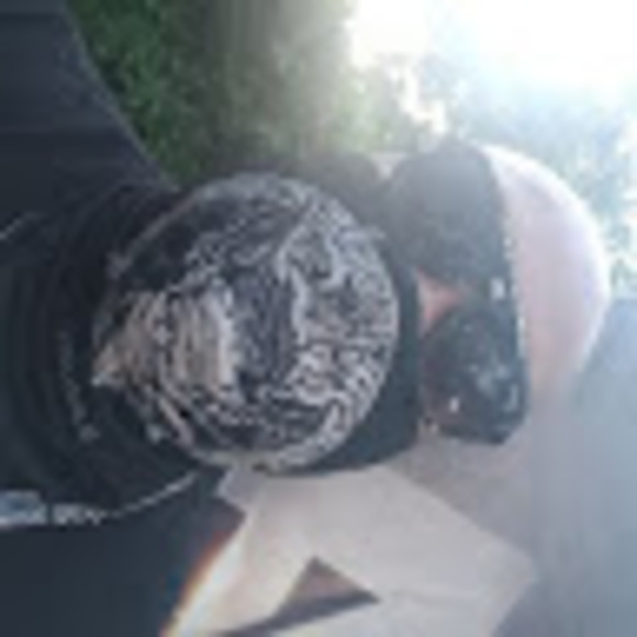 Meet your Posher, Trevor - Picture 1 of 1